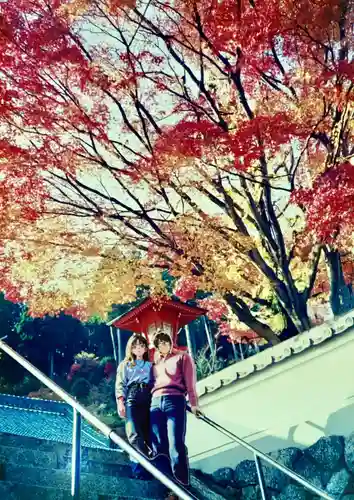 善峯寺(京都府)