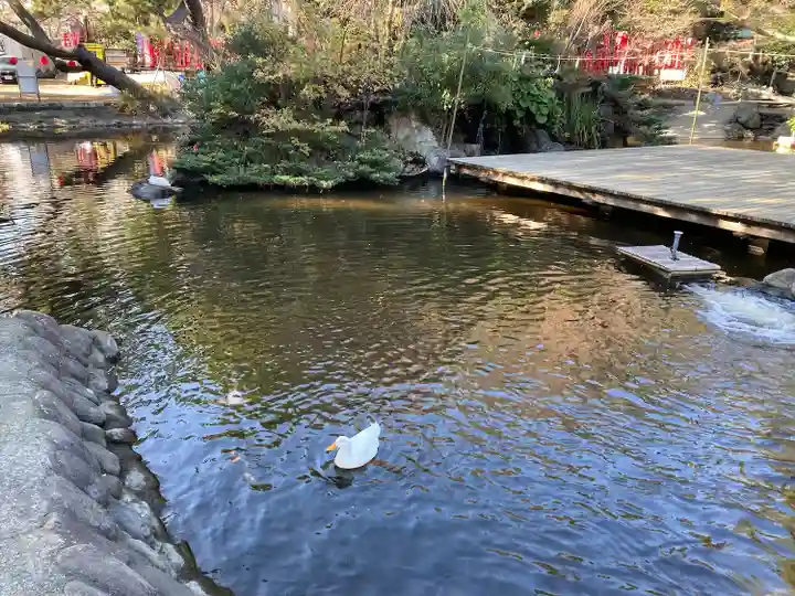 平塚八幡宮(神奈川県)