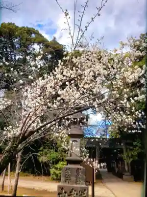 赤坂氷川神社(東京都)