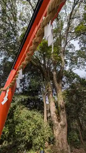 半木神社（賀茂別雷神社境外末社）(京都府)