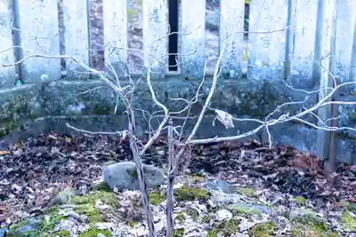 諏訪大社上社前宮(長野県)