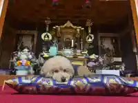 聖光寺のその他建物