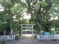 熊野三所大神社(浜の宮王子)の鳥居
