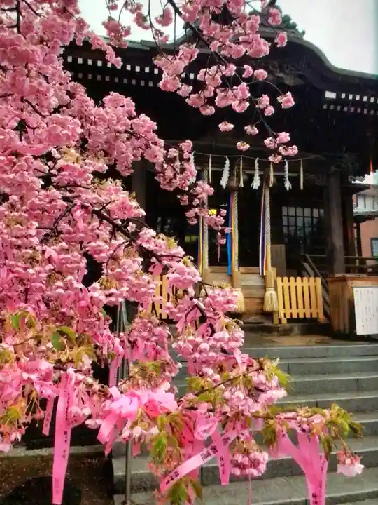 桜神宮(東京都)