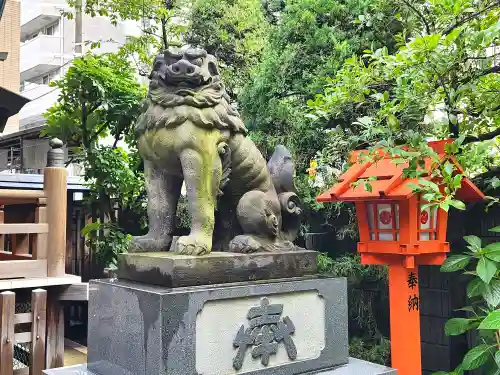 蔵前神社の狛犬