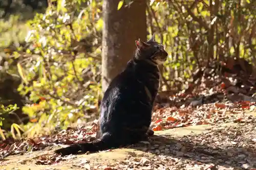 玉野御嶽神社(愛知県)