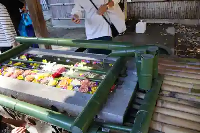 水無瀬神宮(大阪府)