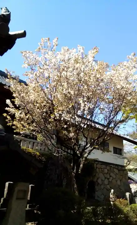 座光如来寺(元善光寺)のその他建物