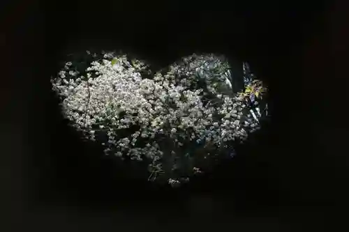 磐椅神社の自然