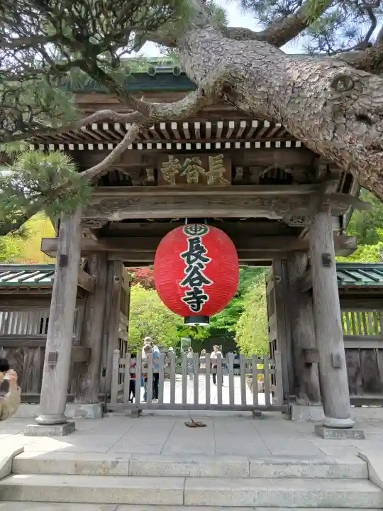 長谷寺の{uncategorized: "未分類", other: "その他", undefined: "問題あり", building: "その他建物", grave: "お墓", sacred_gate: "鳥居", guardian: "狛犬", statue: "像", buddha: "仏像", history: "歴史", nature: "自然", garden: "庭園", animal: "動物", pagoda: "塔", temizu: "手水舎", mountain_gate: "山門・神門", sanctuary: "本殿・本堂", subordinate: "末社・摂社", art: "芸術", scenery: "景色", jizo: "地蔵", ema: "絵馬", goshuin: "御朱印", omikuji: "おみくじ", items: "授与品その他", amulet: "お守り", goshuincho: "御朱印帳", eats: "食事", festival: "お祭り", votive_dance: "神楽", shichigosan: "七五三参", wedding: "結婚式", experience: "体験その他", initially: "初詣", around: "周辺", anti_infection: "感染症対策"}