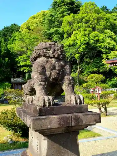 橘神社の狛犬