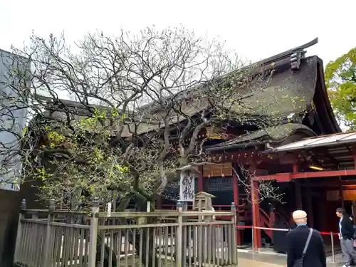 太宰府天満宮の本殿