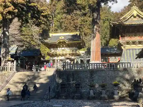 日光東照宮の建物その他