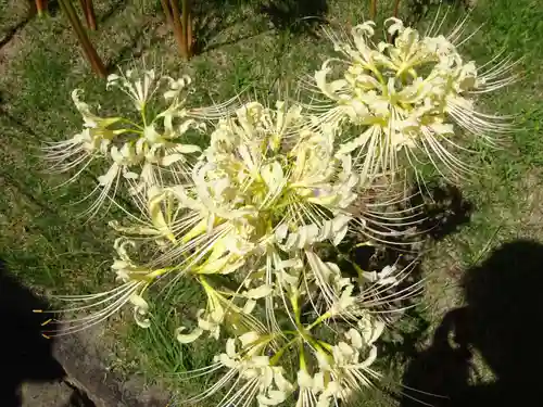 横浜　西方寺の自然