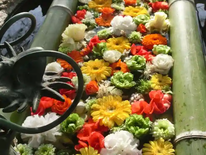 立志神社の手水舎