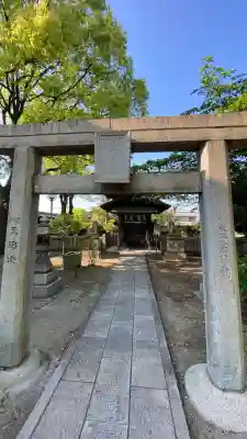 若松恵比須神社 の{uncategorized: "未分類", other: "その他", undefined: "問題あり", building: "その他建物", grave: "お墓", sacred_gate: "鳥居", guardian: "狛犬", statue: "像", buddha: "仏像", history: "歴史", nature: "自然", garden: "庭園", animal: "動物", pagoda: "塔", temizu: "手水舎", mountain_gate: "山門・神門", sanctuary: "本殿・本堂", subordinate: "末社・摂社", art: "芸術", scenery: "景色", jizo: "地蔵", ema: "絵馬", goshuin: "御朱印", omikuji: "おみくじ", items: "授与品その他", amulet: "お守り", goshuincho: "御朱印帳", eats: "食事", festival: "お祭り", votive_dance: "神楽", shichigosan: "七五三参", wedding: "結婚式", experience: "体験その他", initially: "初詣", around: "周辺", anti_infection: "感染症対策"}