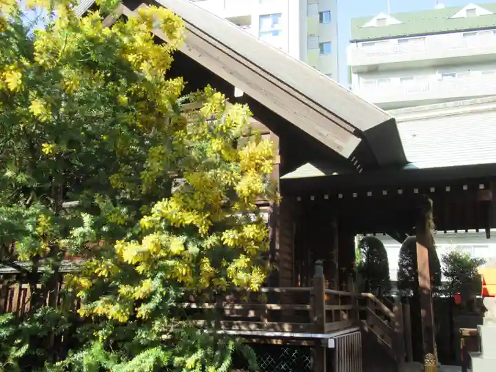 蔵前神社の本殿・本堂