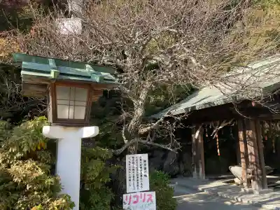 鎌倉宮(神奈川県)