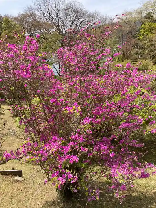 箱根神社(神奈川県)