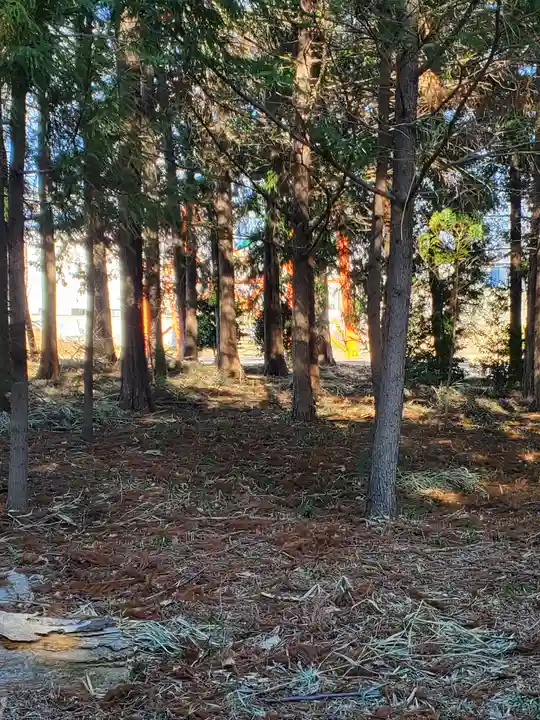 熊野神社(上小林)(群馬県)