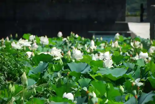 浄名寺(山口県)
