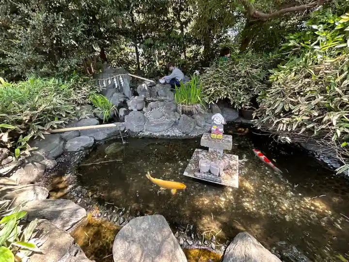 櫻木神社(千葉県)