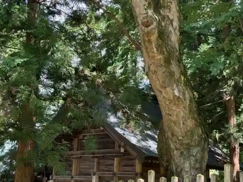 諏訪大社上社前宮(長野県)