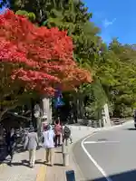高野山金剛峯寺奥の院(和歌山県)
