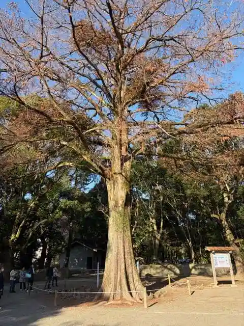 宮崎神宮(宮崎県)