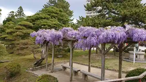 白山神社の庭園