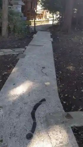 星宮神社のその他建物