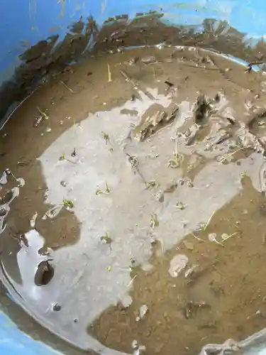 大鏑神社(福島県)