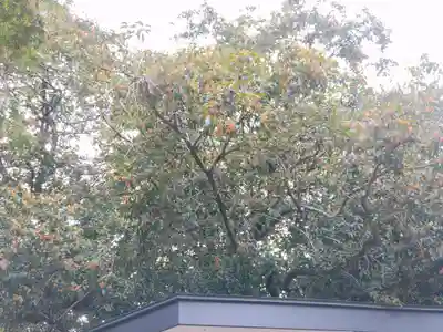 冠稲荷神社(群馬県)