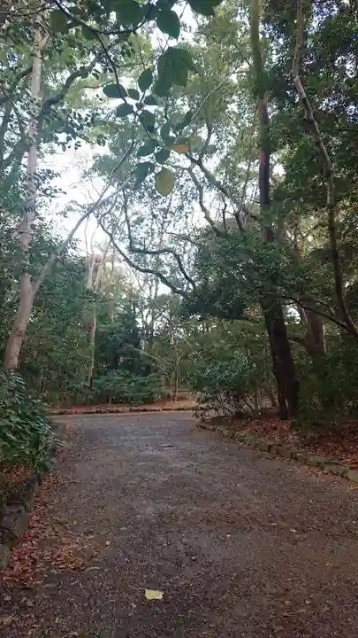 熱田神宮の自然