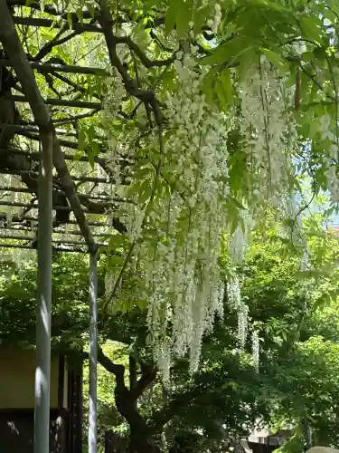 英勝寺(神奈川県)
