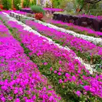 寿量山 速成寺(奈良県)