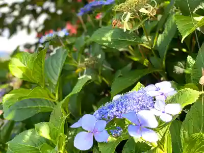 天照皇大神宮(長野県)