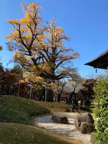 淨眞寺(東京都)