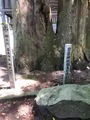 日吉神社(福井県)