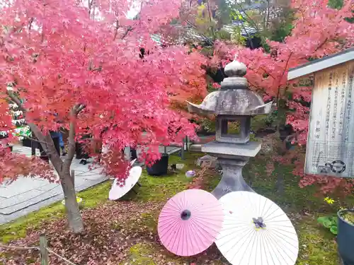勝林寺(京都府)