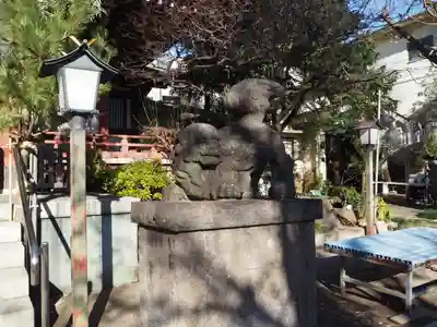 千住本氷川神社の狛犬