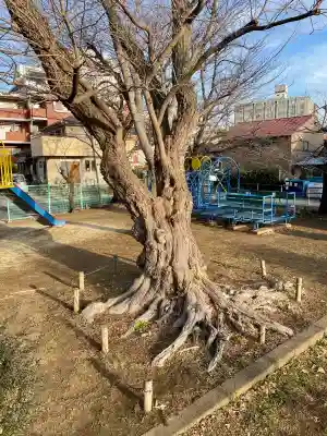馬橋弁財天厳島神社の{uncategorized: "未分類", other: "その他", undefined: "問題あり", building: "その他建物", grave: "お墓", sacred_gate: "鳥居", guardian: "狛犬", statue: "像", buddha: "仏像", history: "歴史", nature: "自然", garden: "庭園", animal: "動物", pagoda: "塔", temizu: "手水舎", mountain_gate: "山門・神門", sanctuary: "本殿・本堂", subordinate: "末社・摂社", art: "芸術", scenery: "景色", jizo: "地蔵", ema: "絵馬", goshuin: "御朱印", omikuji: "おみくじ", items: "授与品その他", amulet: "お守り", goshuincho: "御朱印帳", eats: "食事", festival: "お祭り", votive_dance: "神楽", shichigosan: "七五三参", wedding: "結婚式", experience: "体験その他", initially: "初詣", around: "周辺", anti_infection: "感染症対策"}