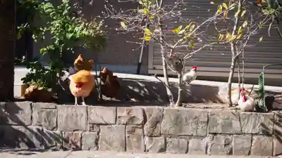 松森天満宮(長崎県)