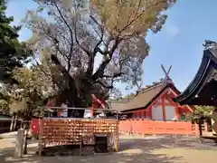 住吉大社の建物その他