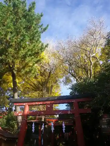 由比若宮（元鶴岡八幡宮）の鳥居