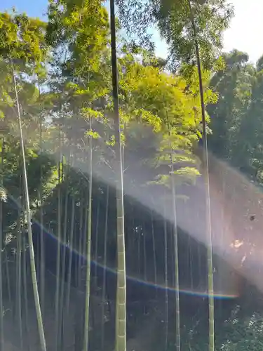 石清水八幡宮の自然