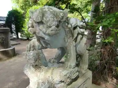 八坂神社の狛犬