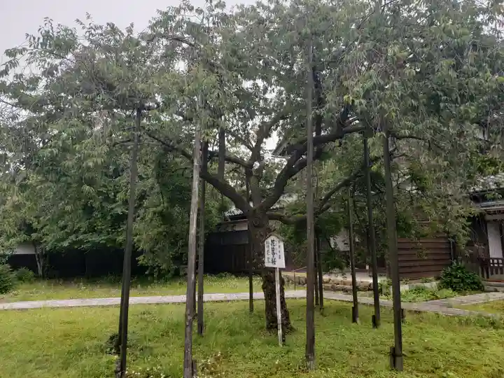 城福寺(福井県)