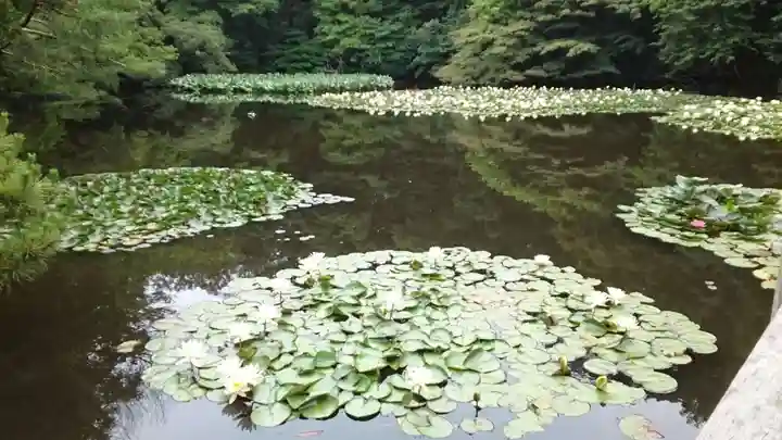 明治神宮(東京都)