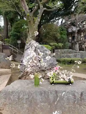 東光寺(東京都)